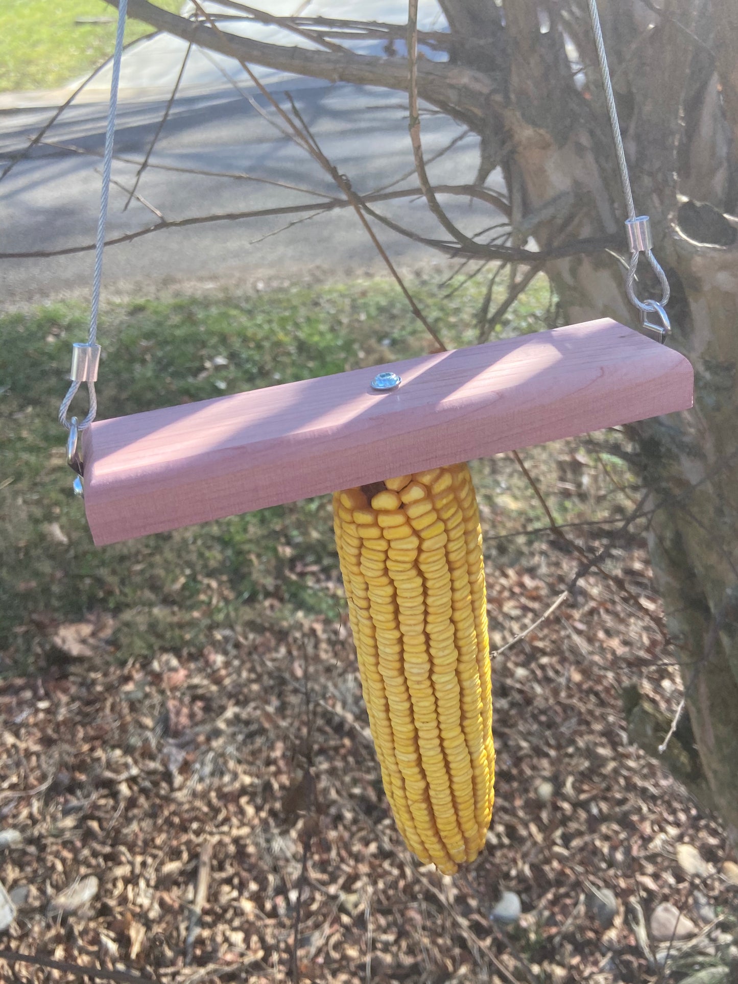 *Clearance* Wacky Squirrel Swing