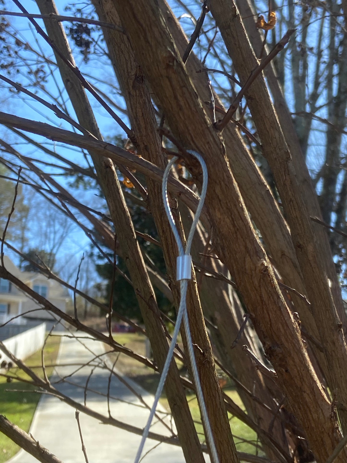 *Clearance* Wacky Squirrel Swing