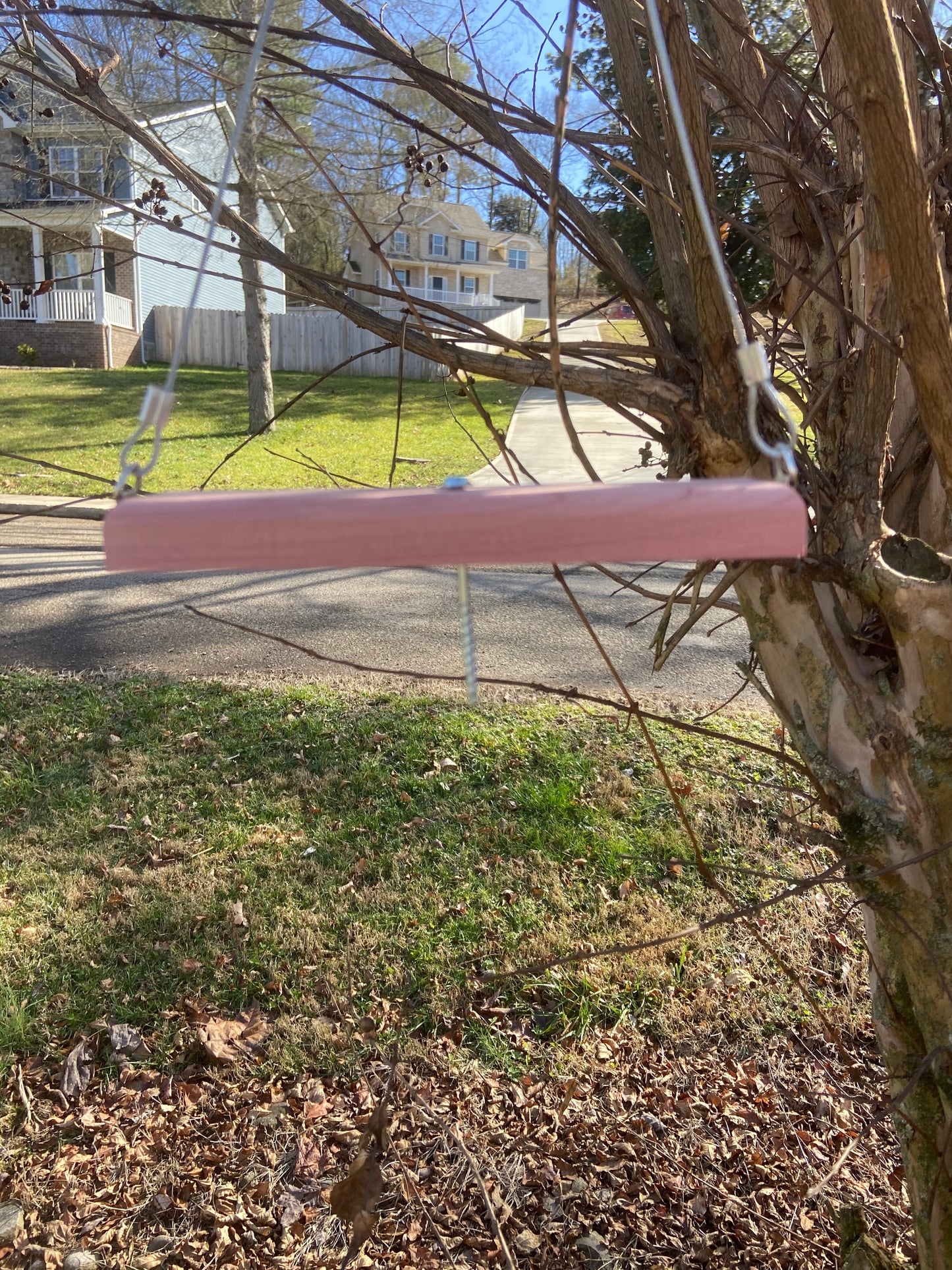 *Clearance* Wacky Squirrel Swing
