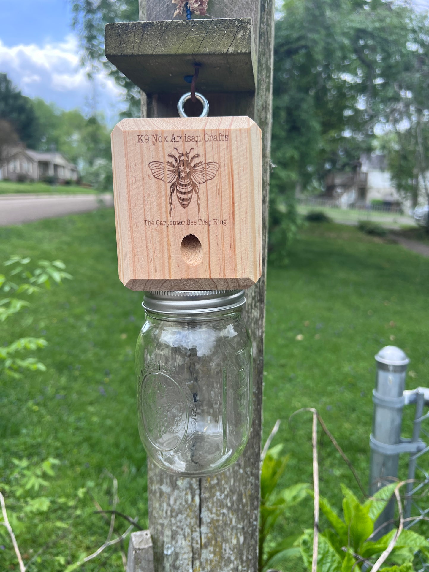 BEST CARPENTER BEE TRAP