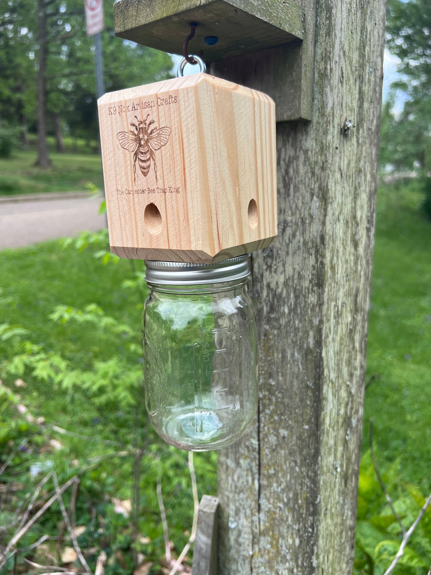 BEST CARPENTER BEE TRAP