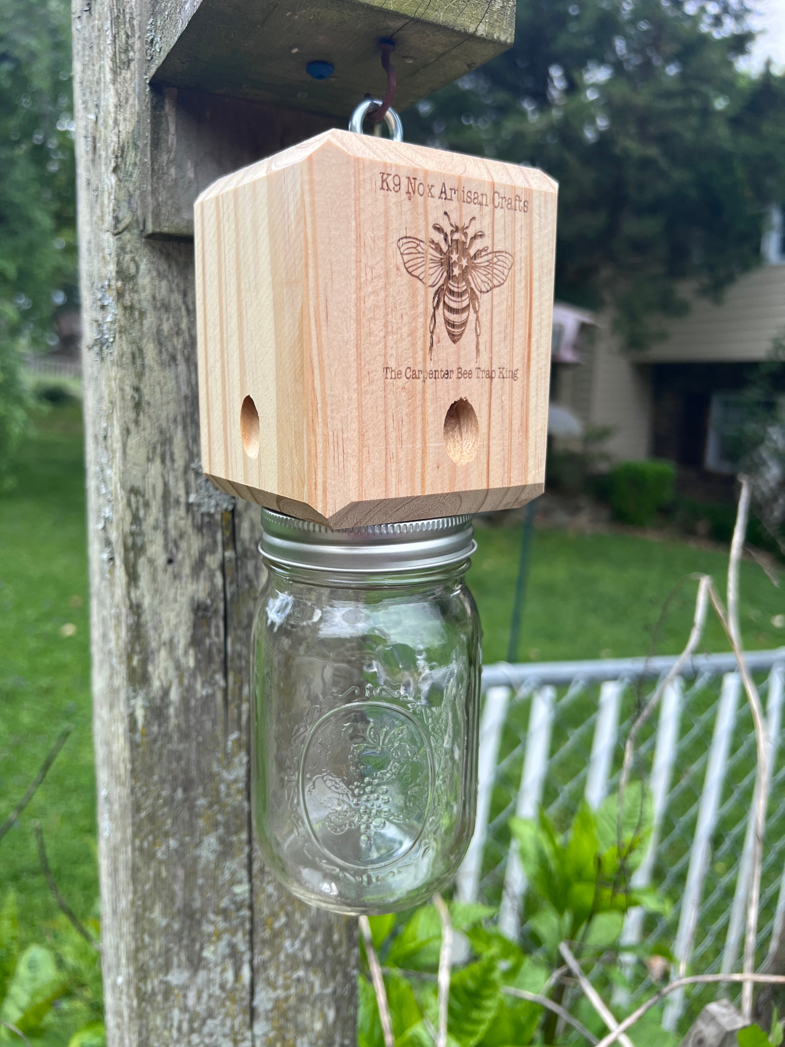 Carpenter outlets Bee Trap (4)