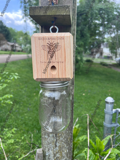 BEST SIMPLE CARPENTER BEE TRAP