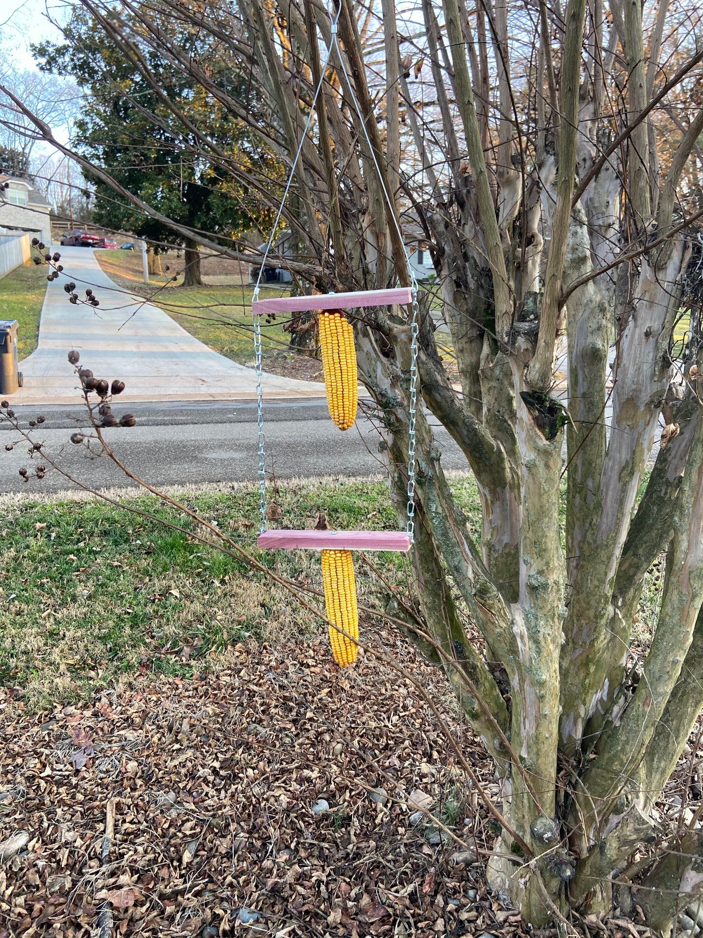 Double Wacky Squirrel Swing Corn Feeder