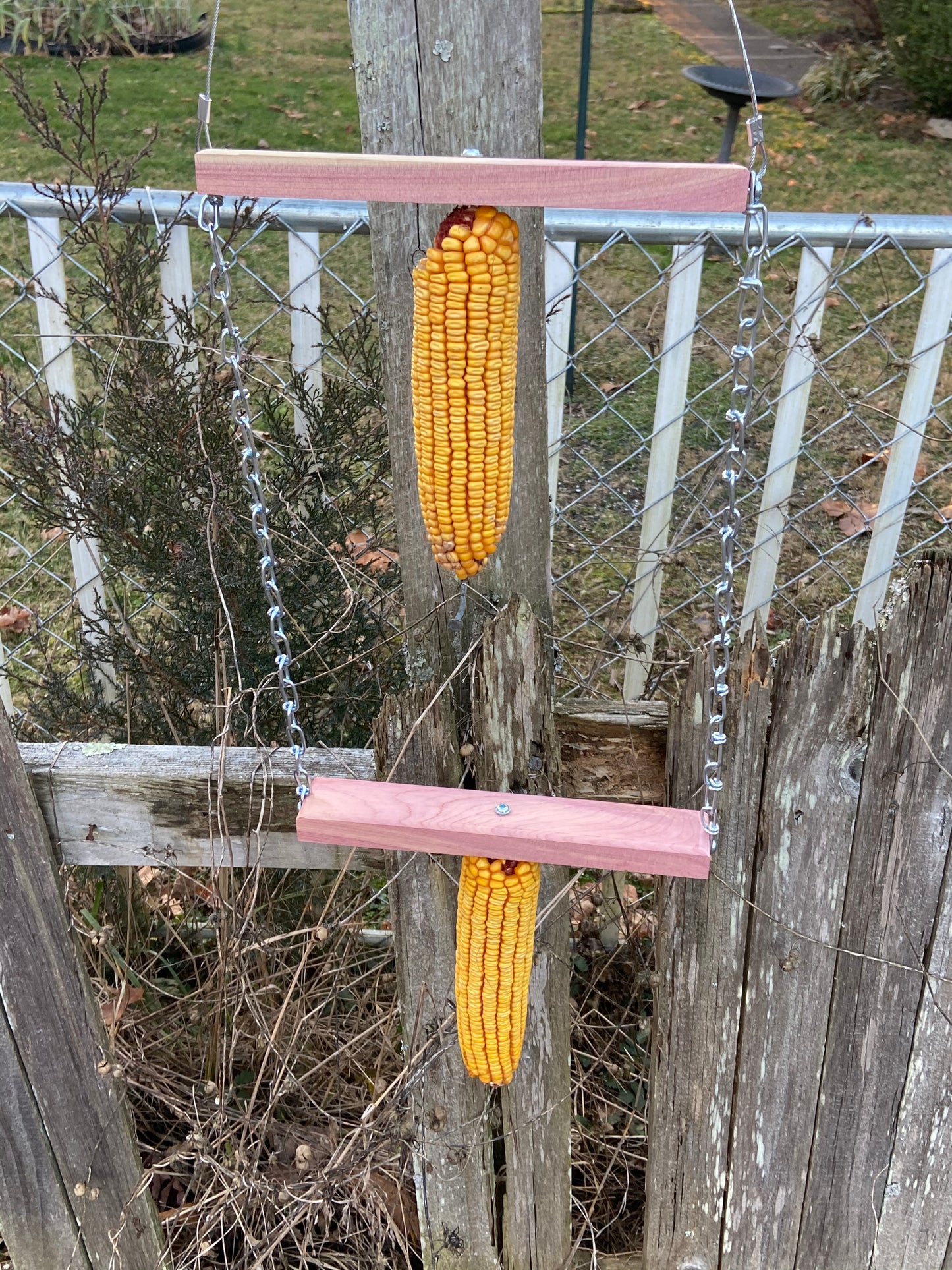 Double Wacky Squirrel Swing Corn Feeder