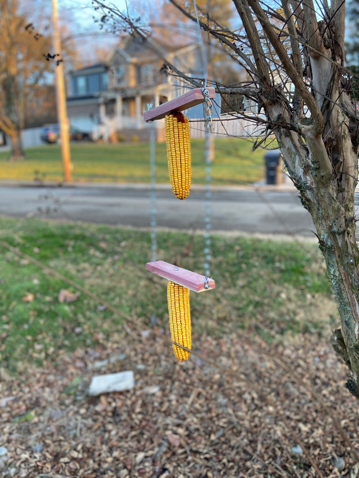 Double Wacky Squirrel Swing Corn Feeder