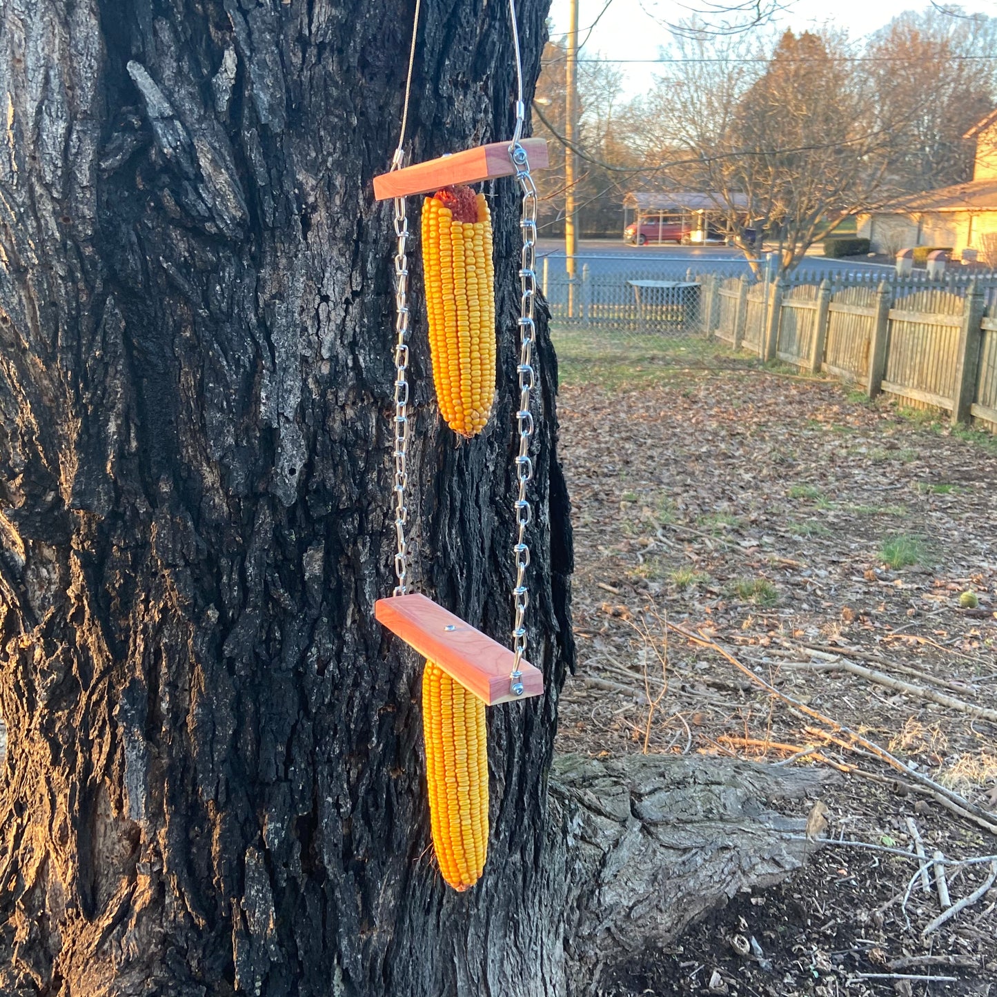 Double Wacky Squirrel Swing Corn Feeder