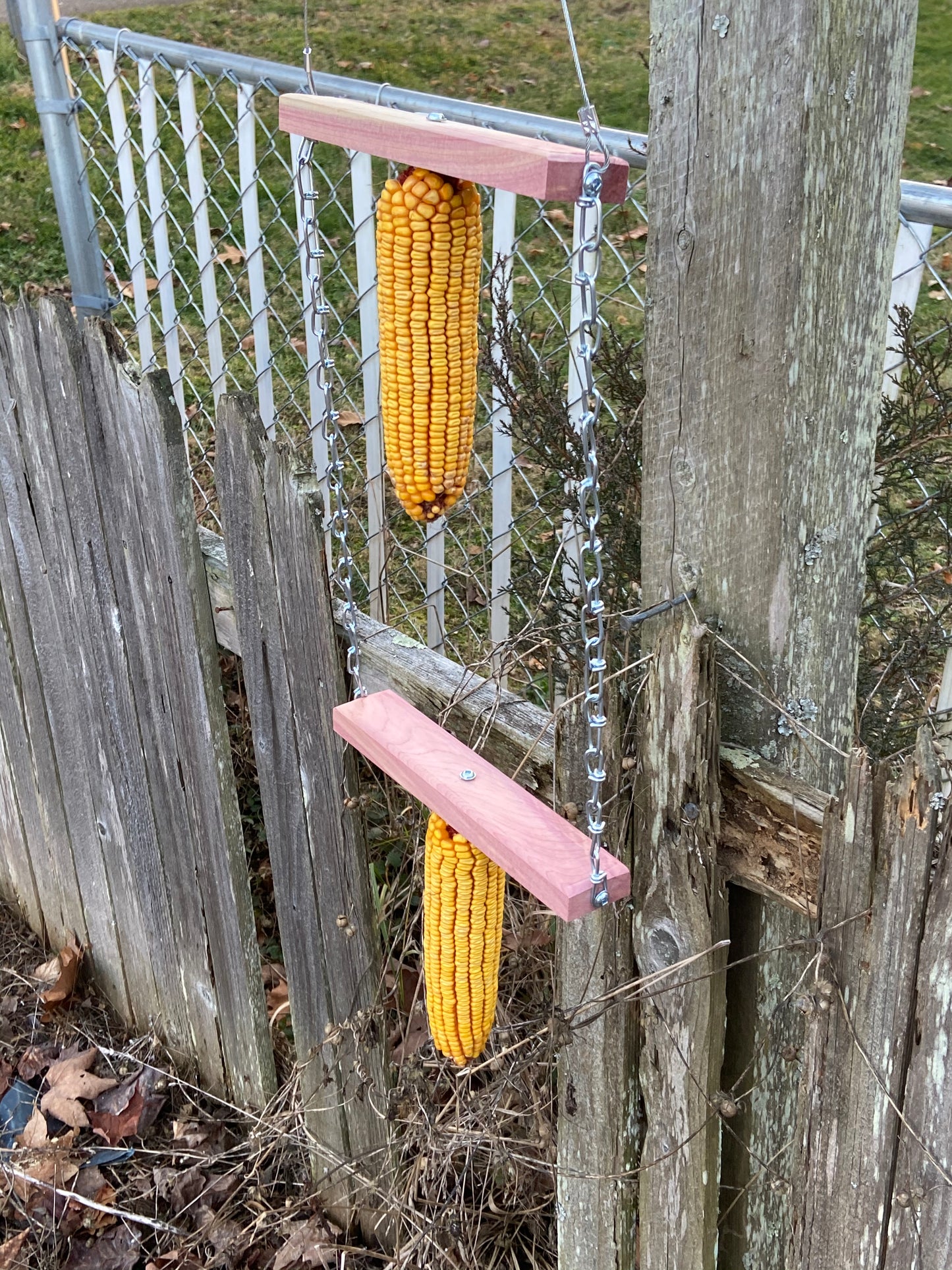 Double Wacky Squirrel Swing Corn Feeder