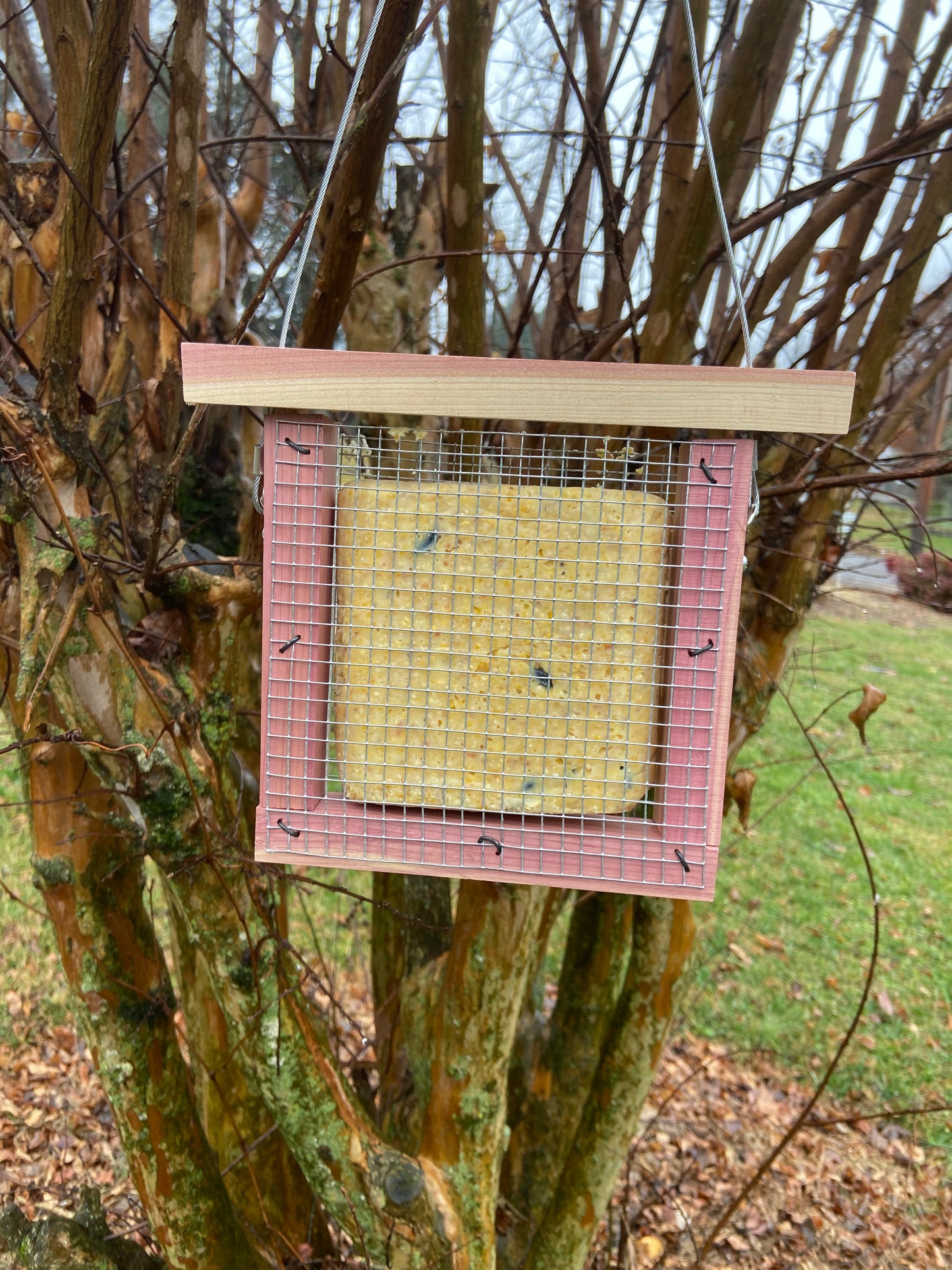 Eastern Red Cedar Suet Block Feeder