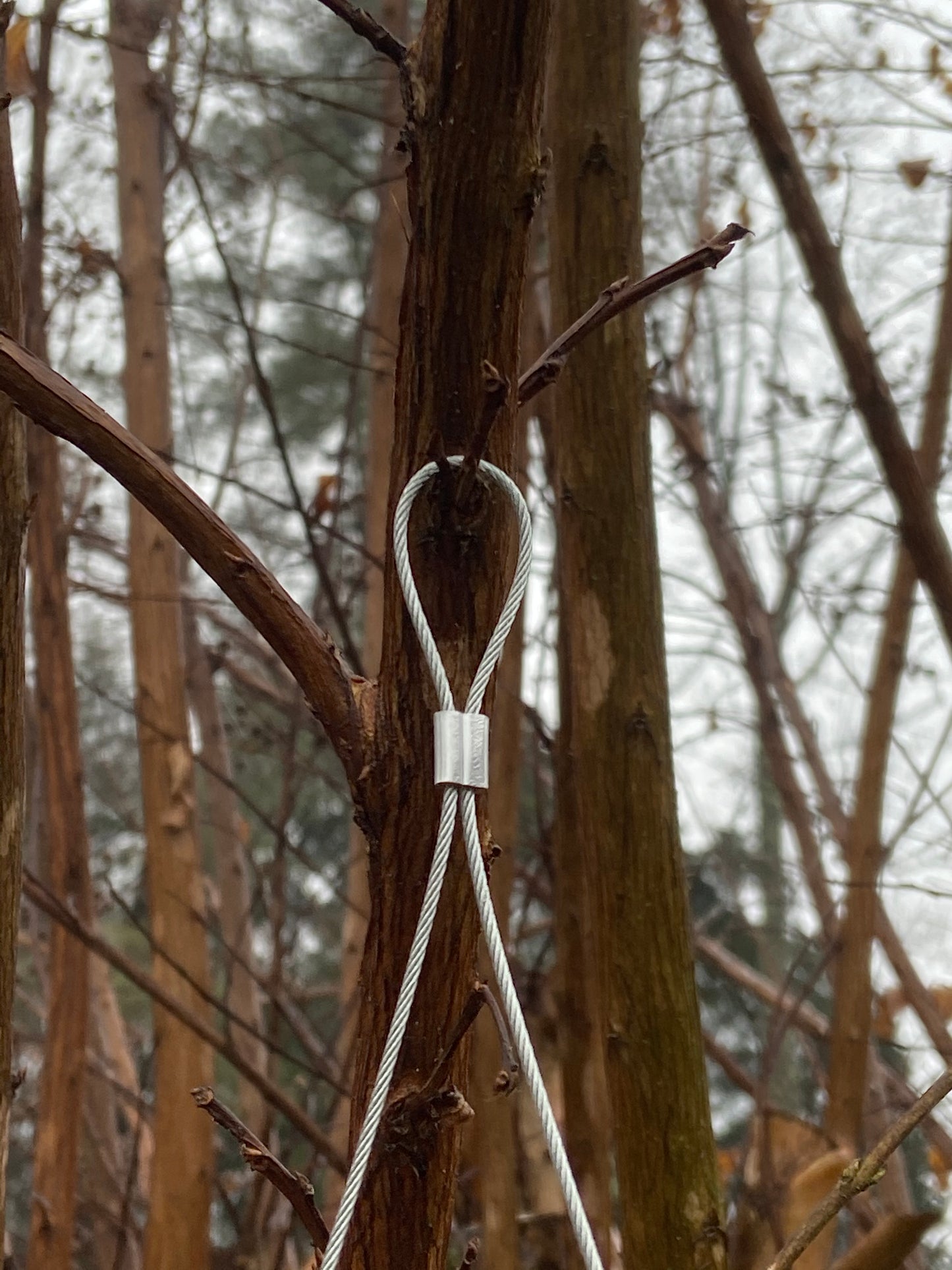 Eastern Red Cedar Suet Block Feeder