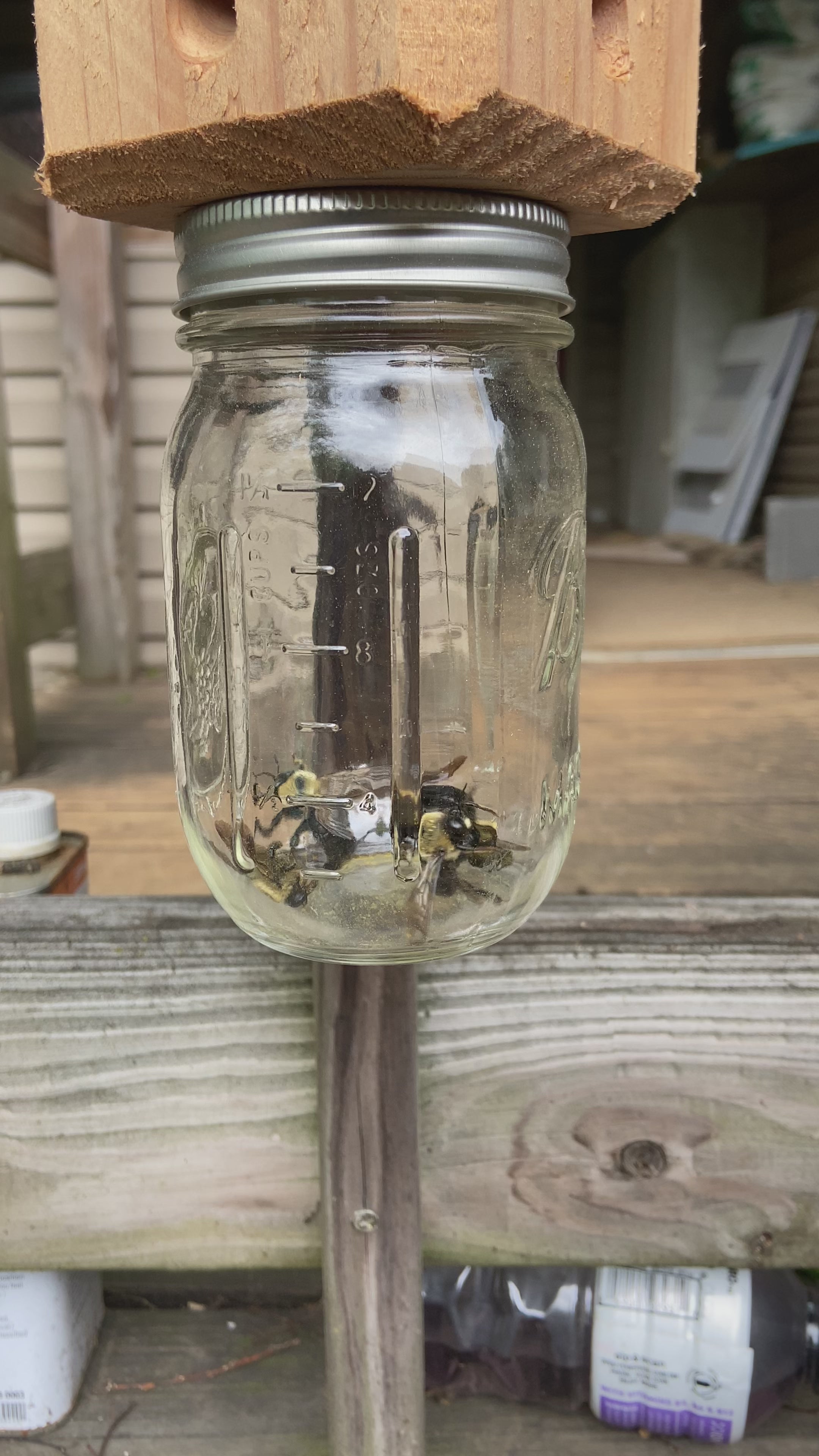 Best Simple Carpenter Bee Trap – K9 NOX ARTISAN CRAFTS